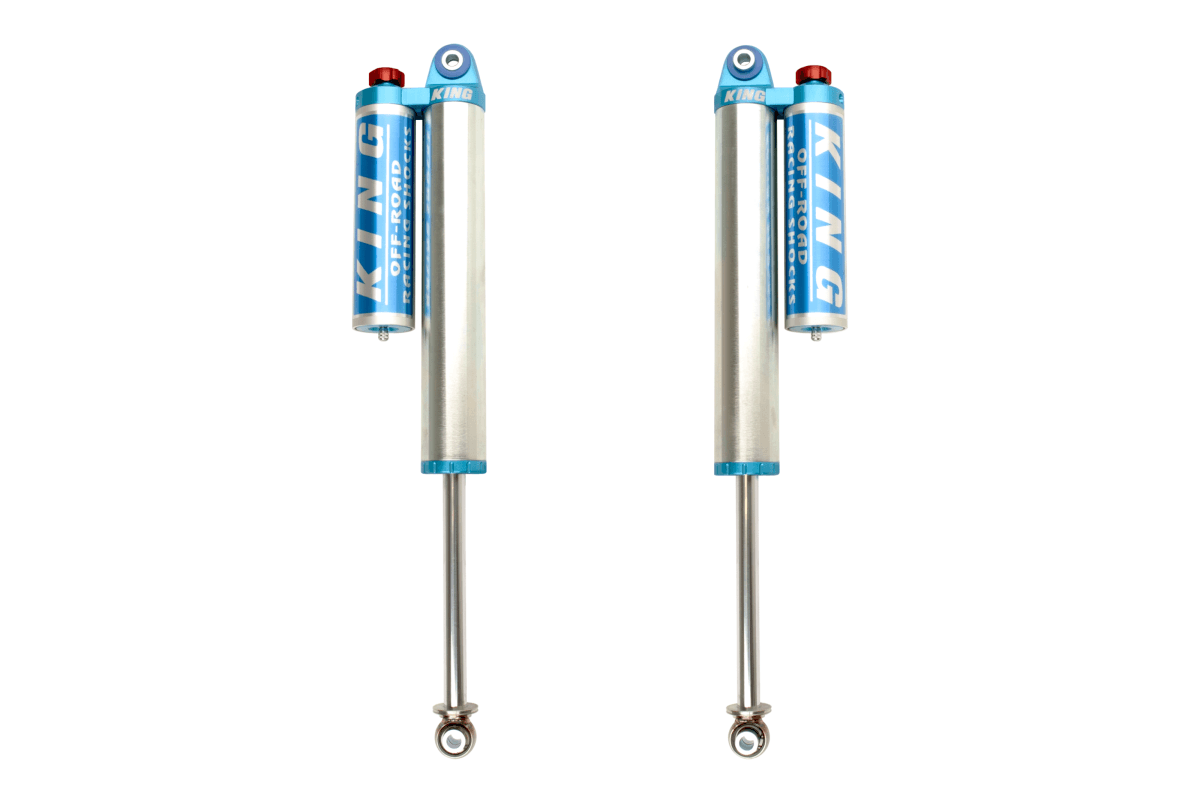 25001-170A 2004-2008 Ford F150 2WD 2.5 Rear Shocks